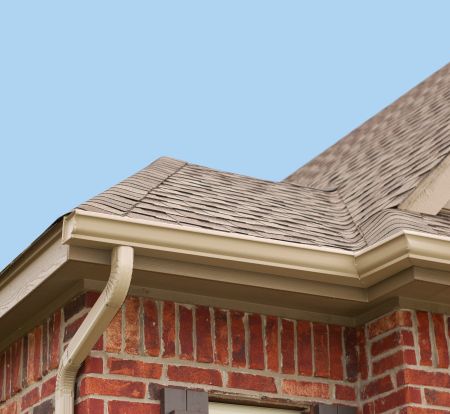 Professional gutter cleaning in chesterfield va prevent water damage and clogged downspouts